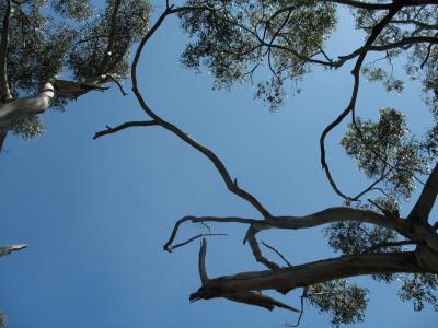 Under The Big Sky