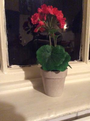 Red Geranium